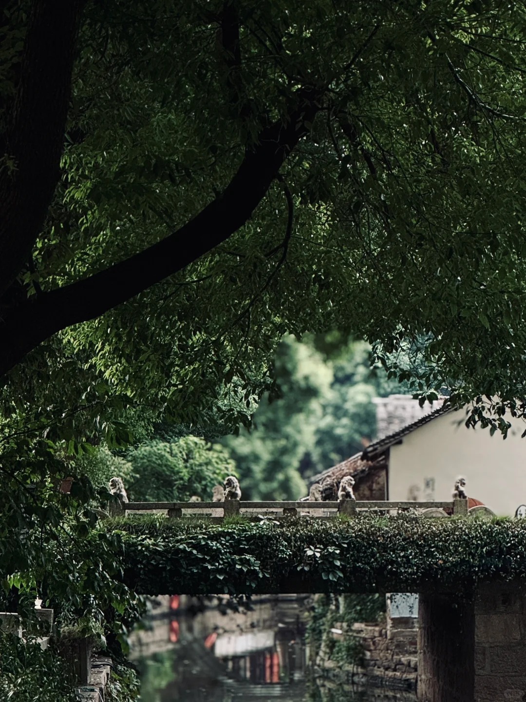 华夏水乡｜甪直古镇🚣_1_大浩哥_古镇-来自52tours 我爱旅游网